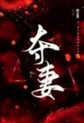 夺妻 封面