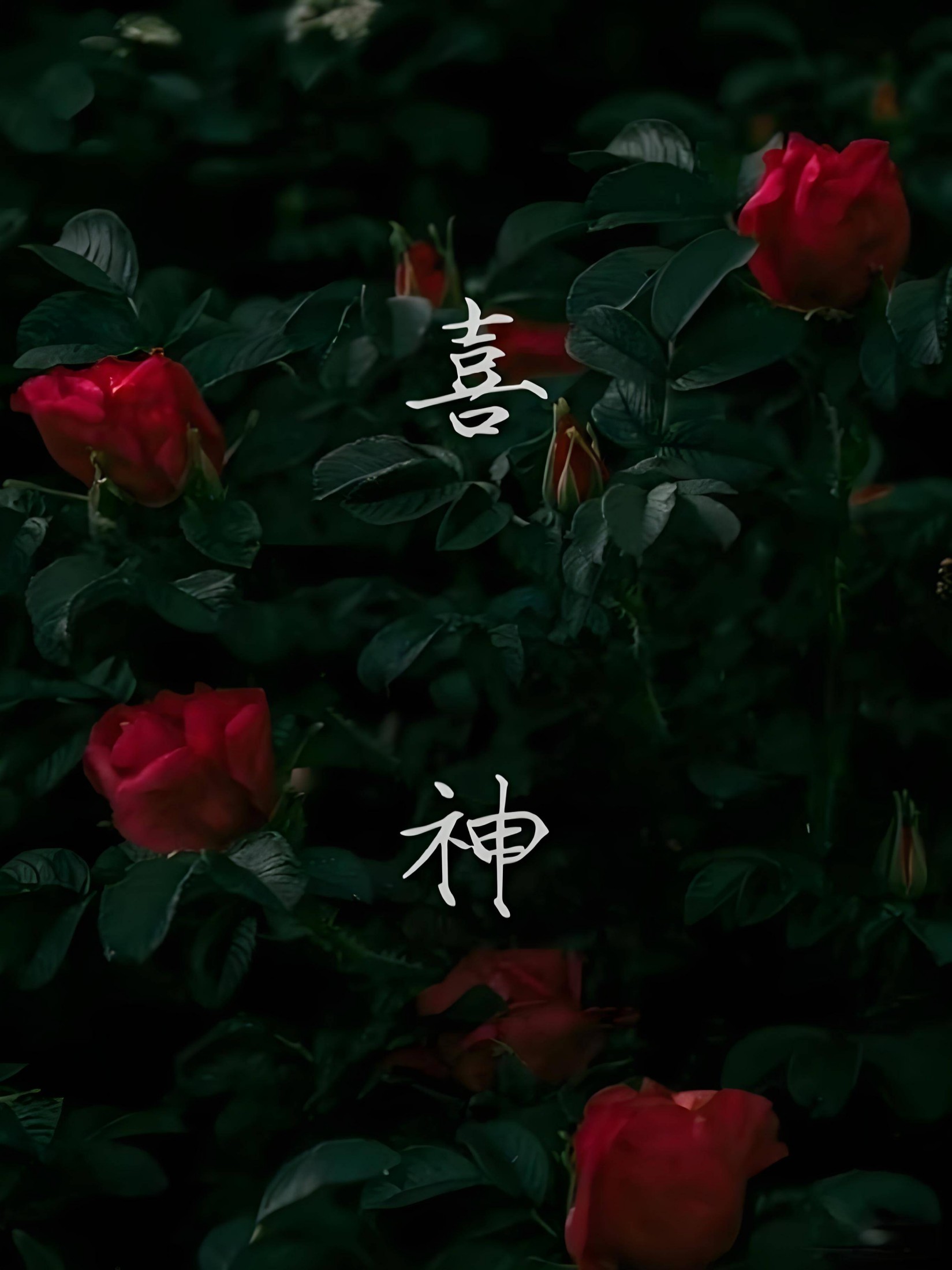 喜神（1v1叔侄） 封面