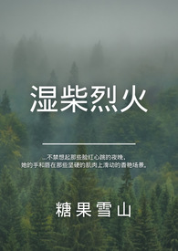 Burning Wet Wood 封面