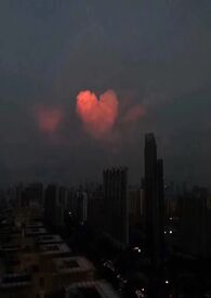 白桃松木（校园） 封面