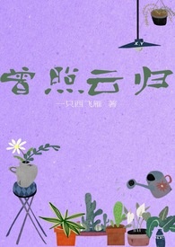曾照云归 封面