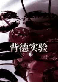 背德实验（真骨科慎入） 封面