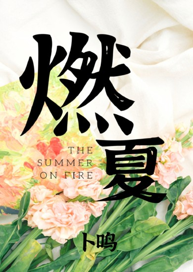 燃夏 封面