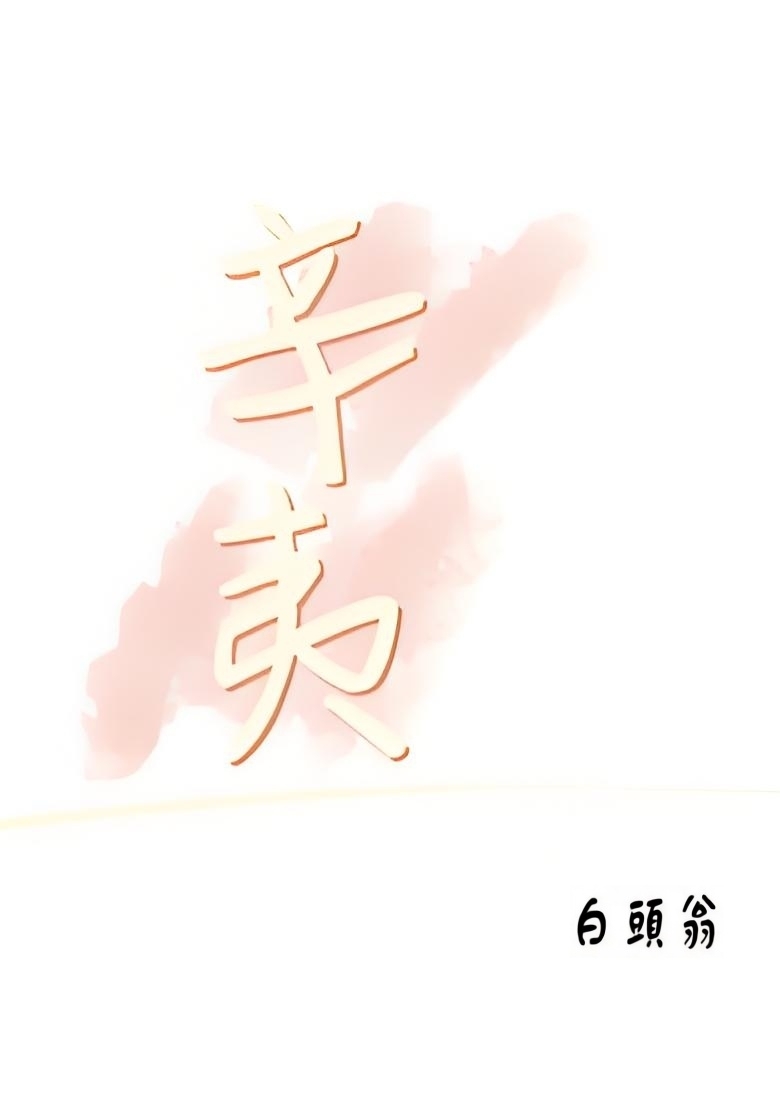 辛夷 封面