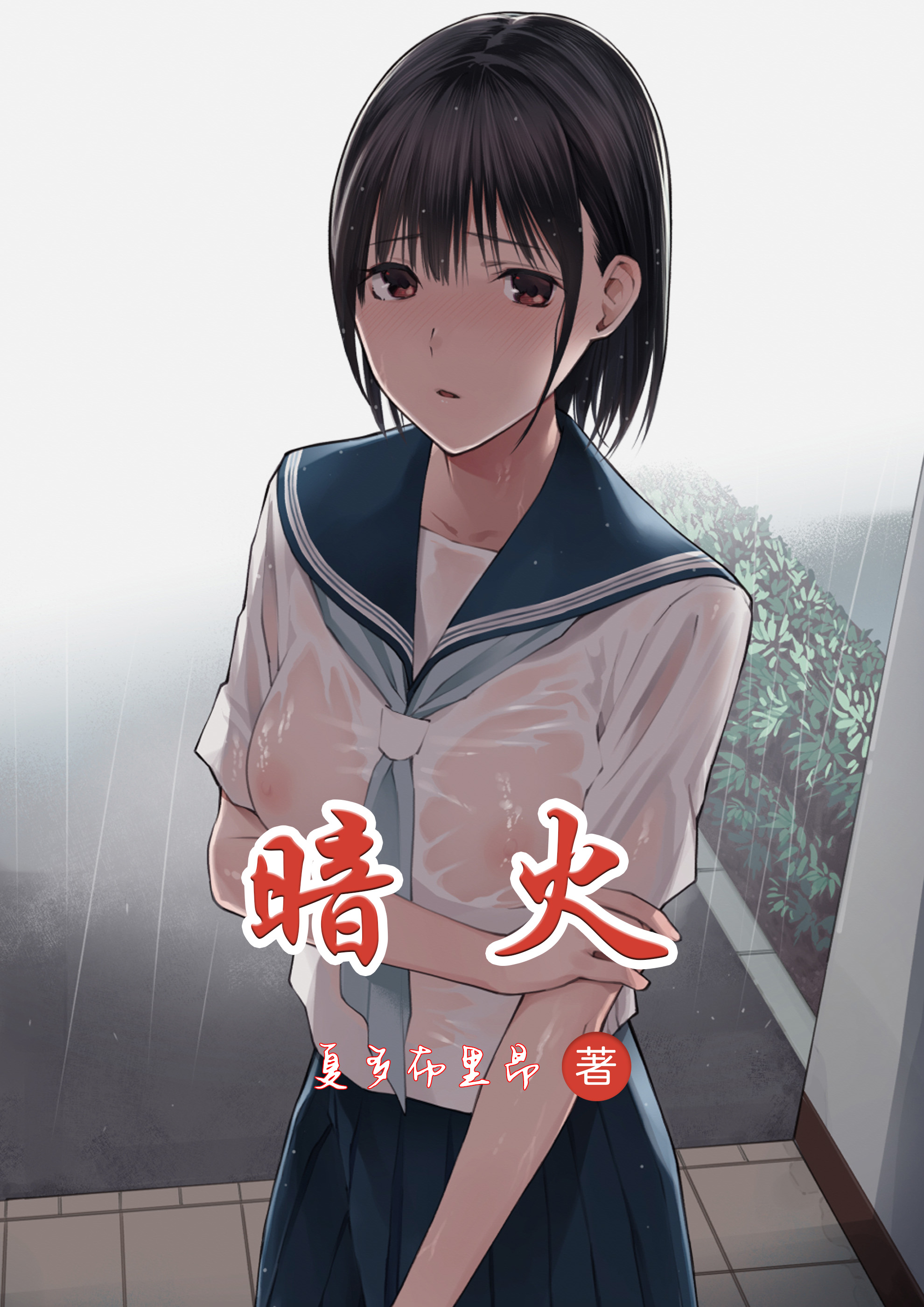 暗火 封面