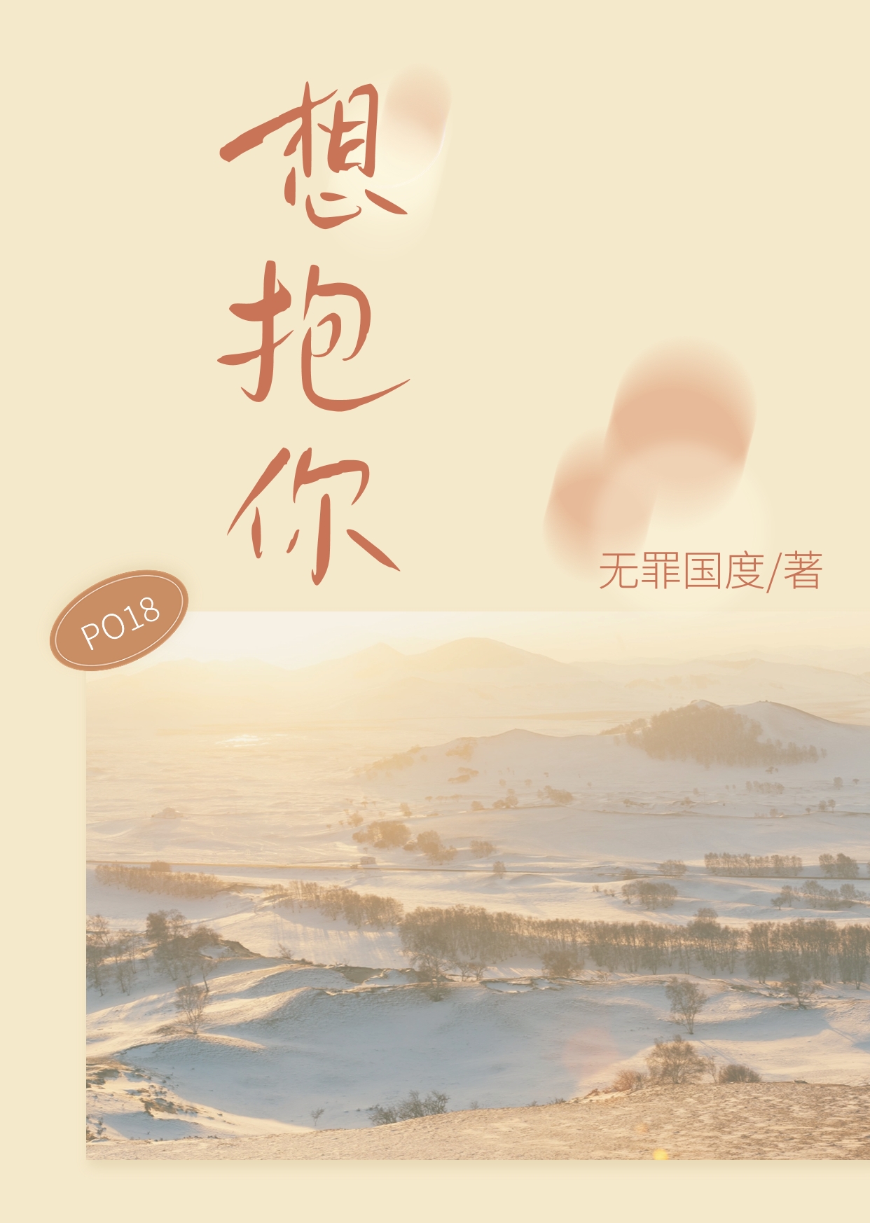 想抱你 封面