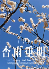 杏雨重明（破镜重圆） 封面