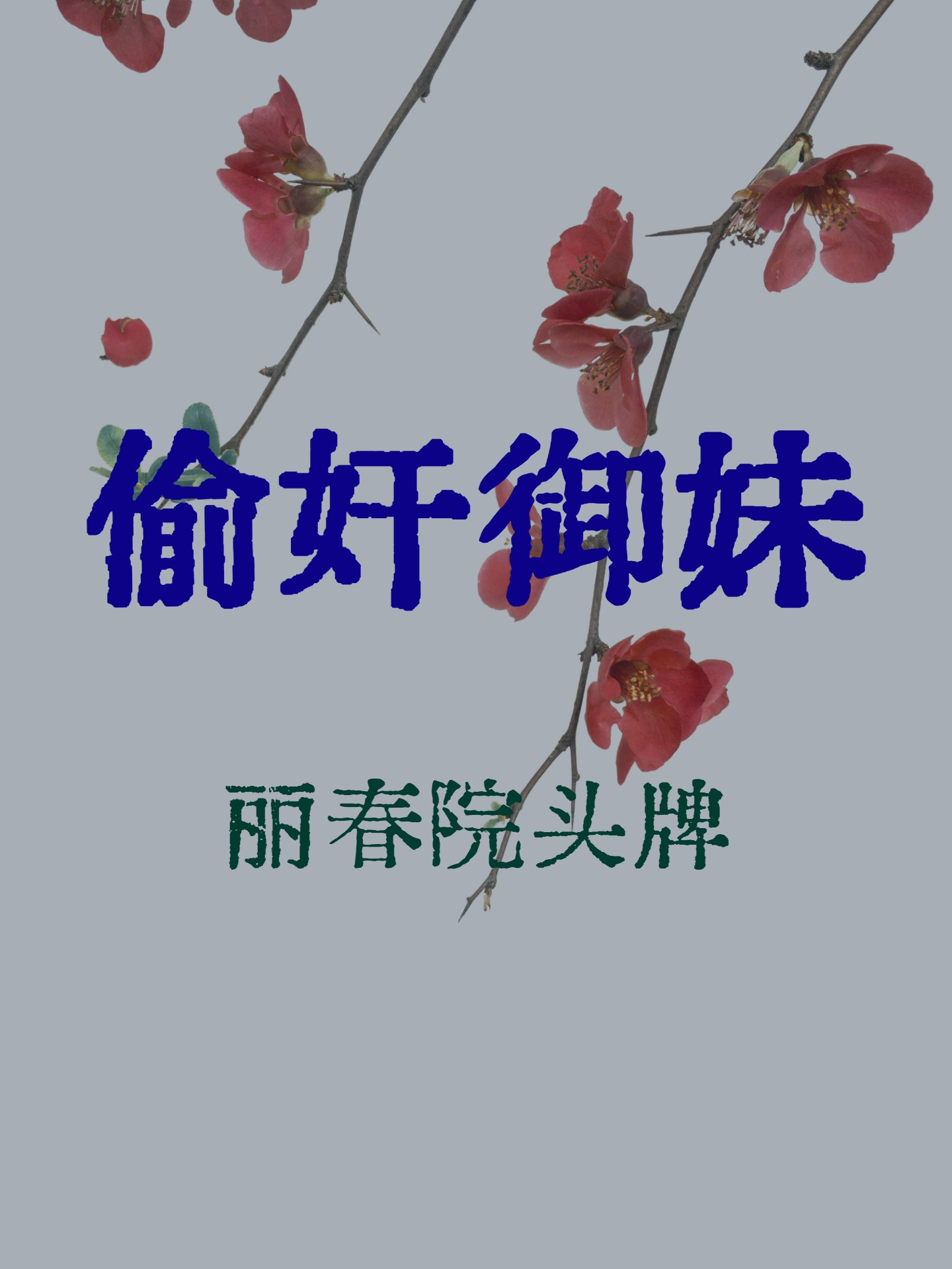 偷奸御妹 封面
