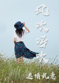 风吹呀吹 封面