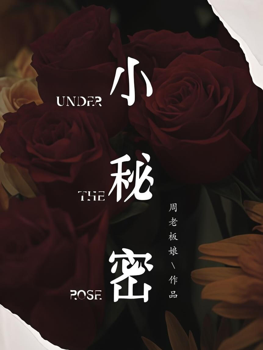 小秘密 封面
