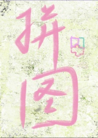 失落拼图 封面