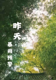 昨天暴雨预警 封面