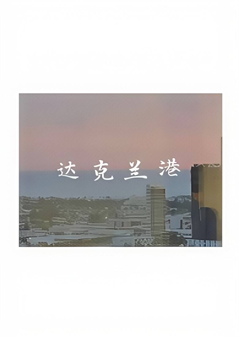达克兰港 封面