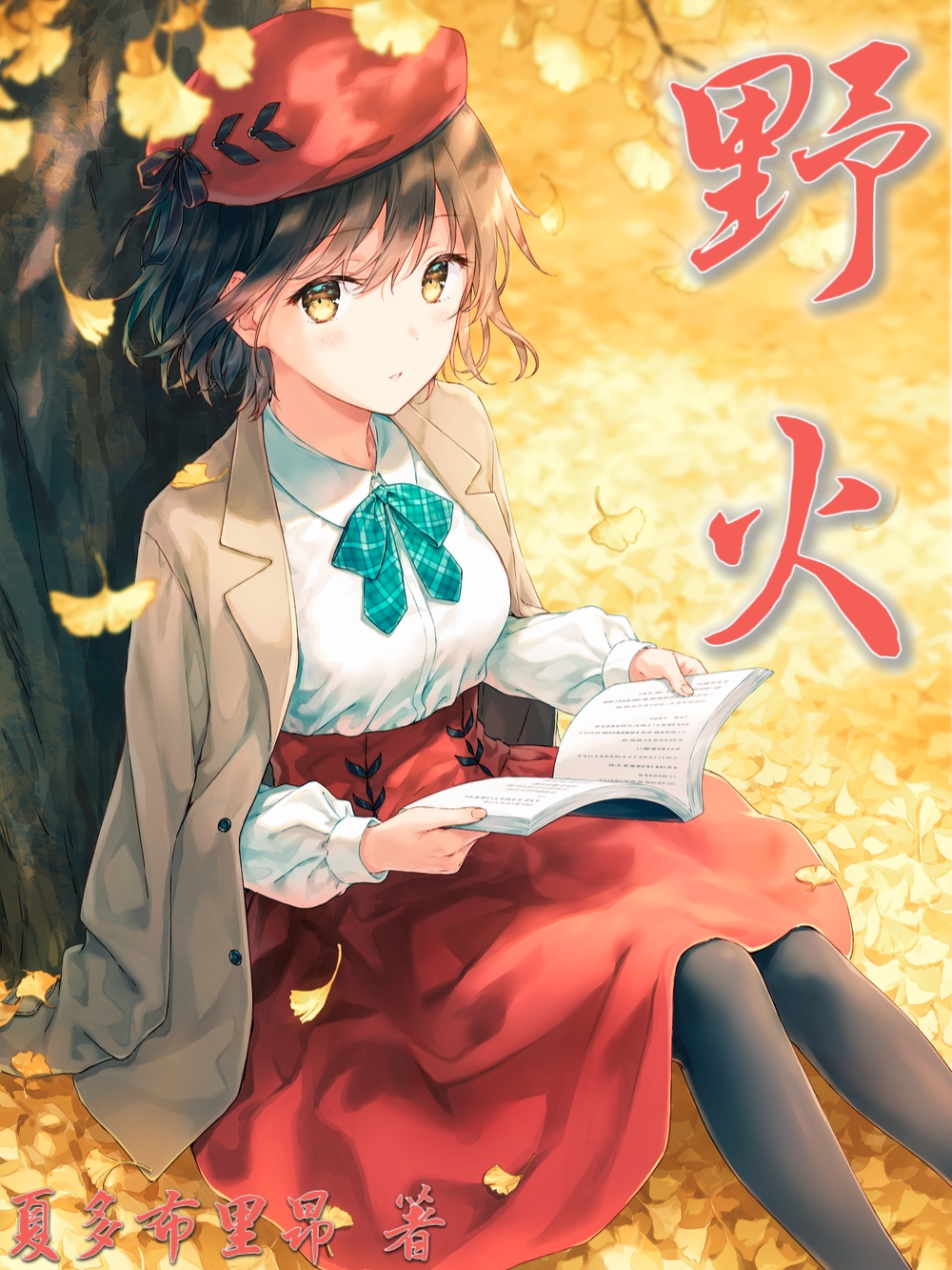 野火 封面