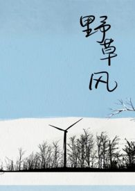 野草风 封面