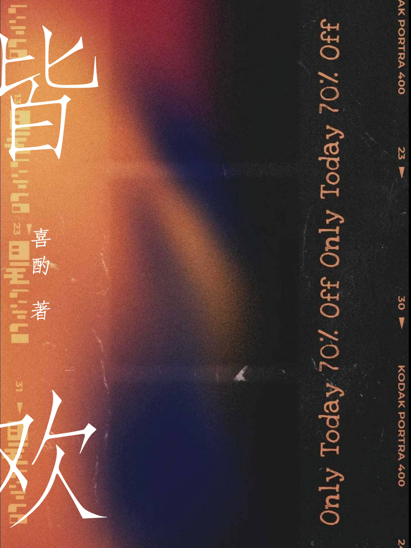 皆欢 封面