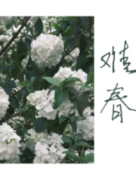 难春 [兄妹] 封面