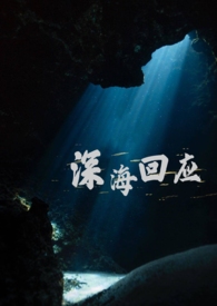 深海回应 封面