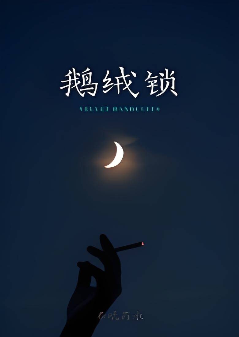 鹅绒锁 封面