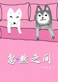 忽然之间 封面