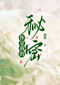 你是我的秘密 封面