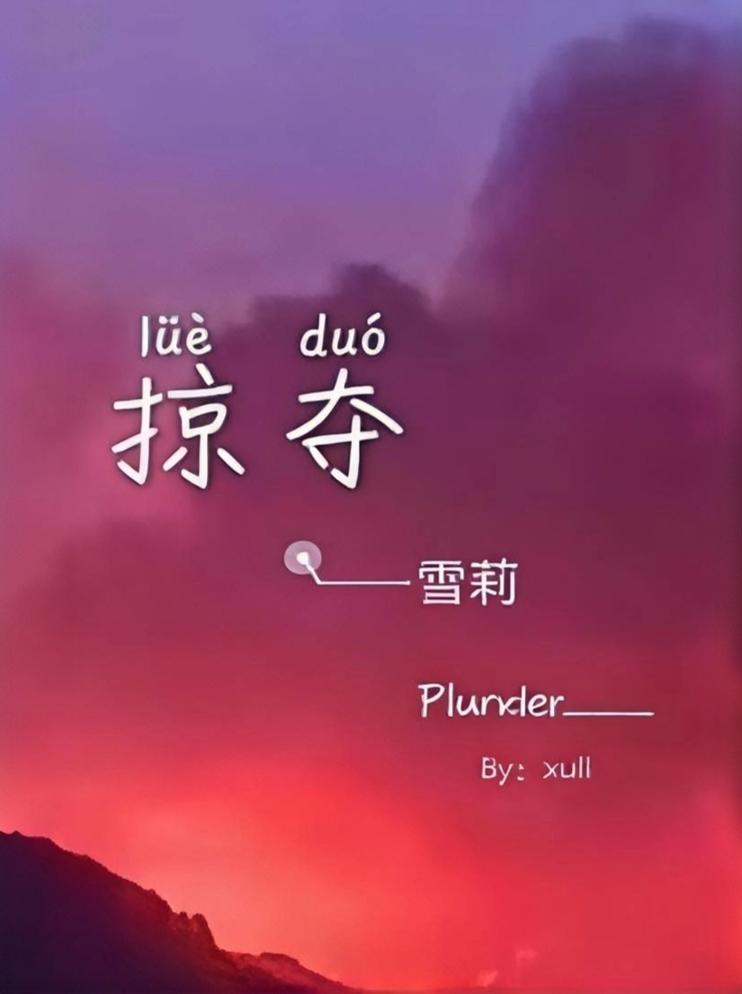 掠夺 封面