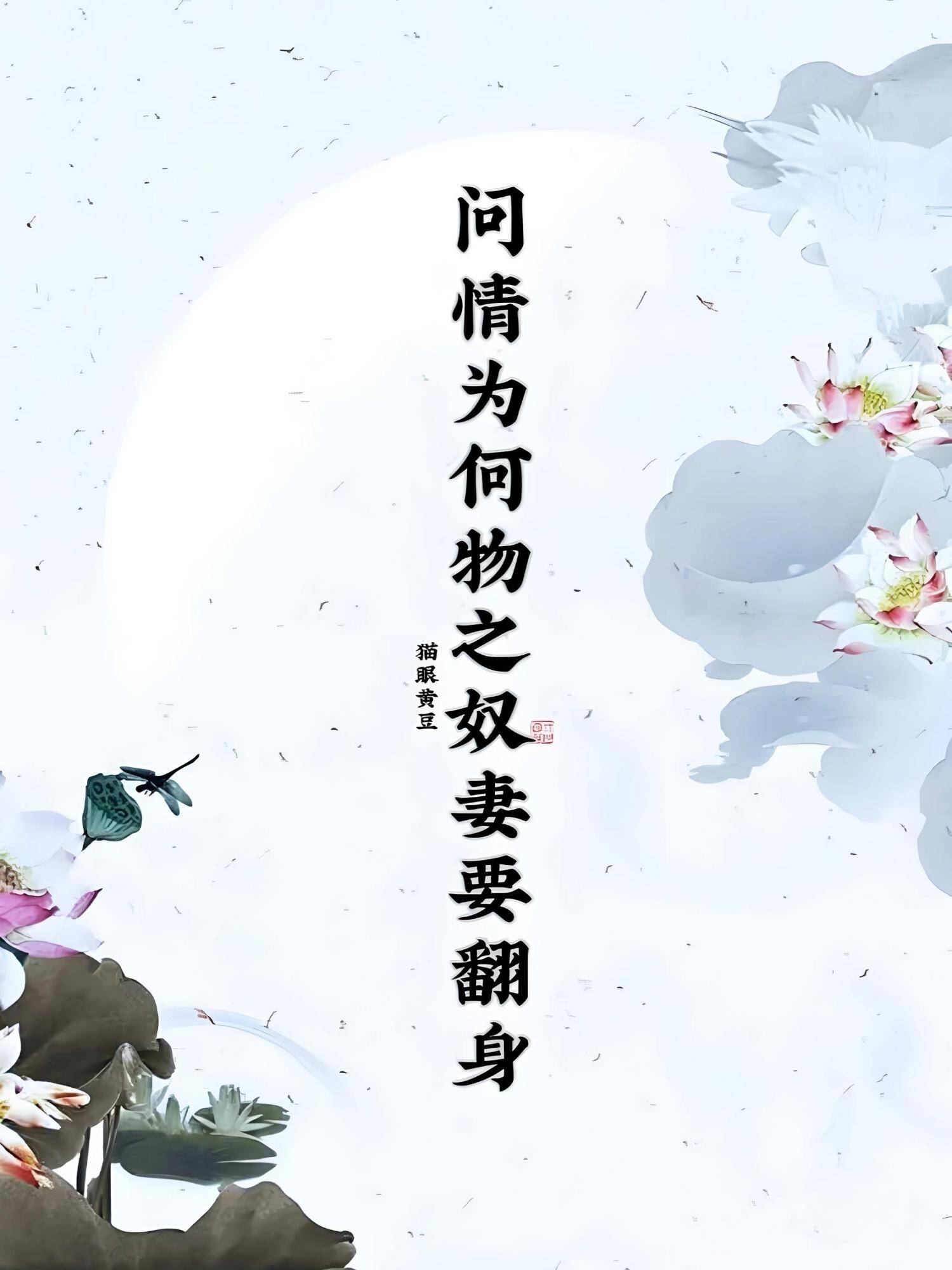 情为何物之奴妻要翻身 封面