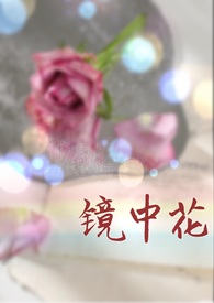 镜中花（高干娱乐圈H） 封面
