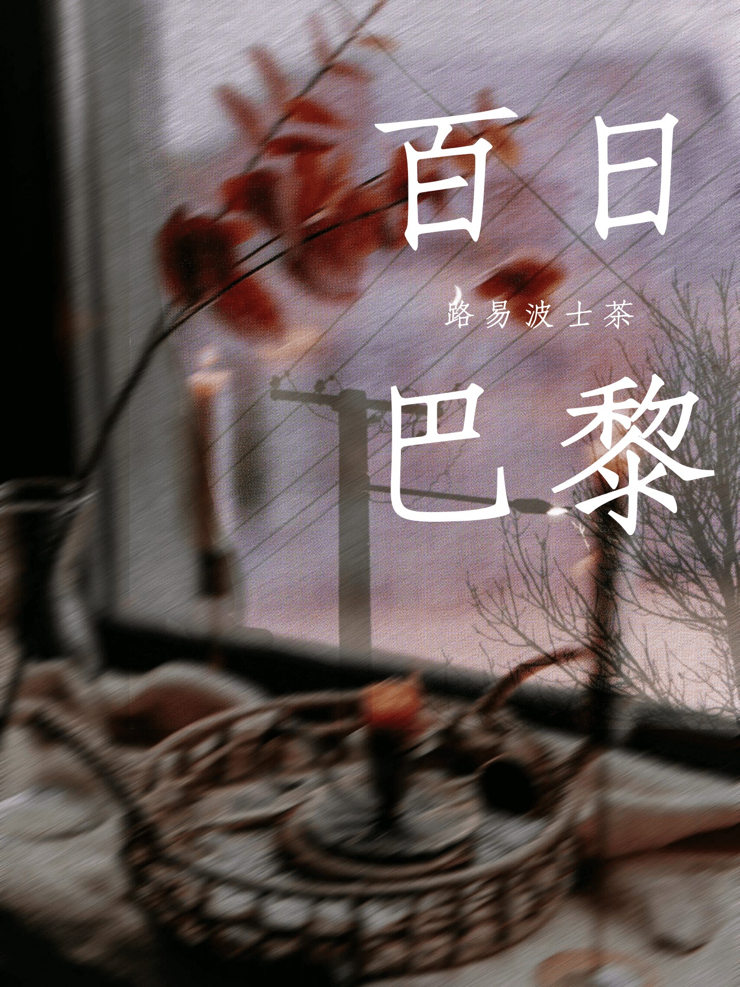 百日巴黎（np） 封面