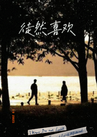徒然喜欢(一夜情) 封面